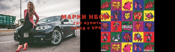 прущие грибы Вязники