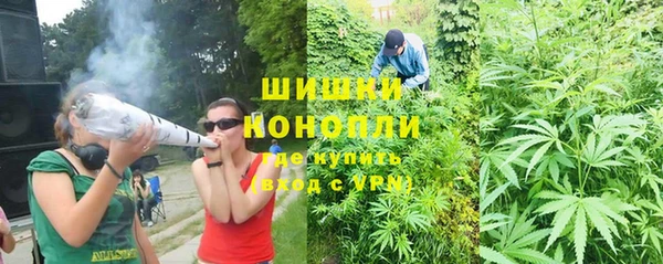 мдпв Волоколамск