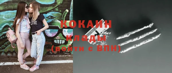 прущие грибы Вязники