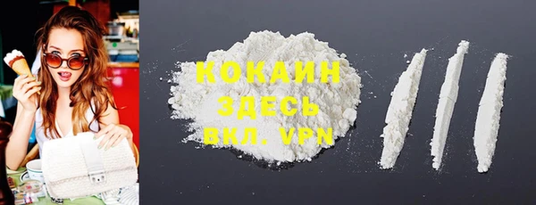 прущие грибы Вязники