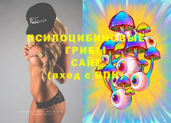 прущие грибы Вязники