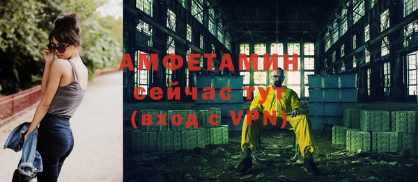 прущие грибы Вязники