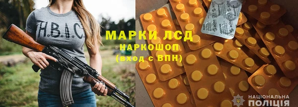 прущие грибы Вязники