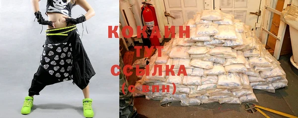 прущие грибы Вязники
