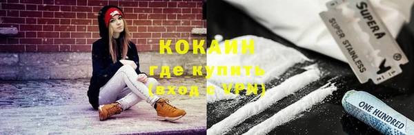 прущие грибы Вязники